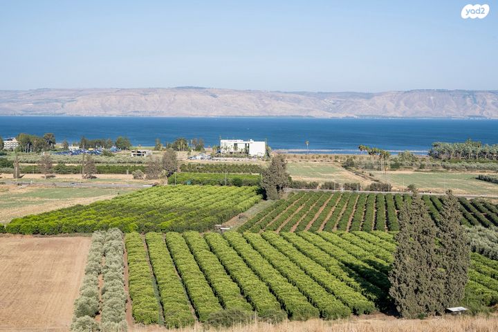 דירת גן, השקד 1, מגדל, מגדל