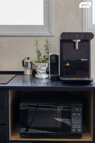 גג/ פנטהאוז, אלפסי 18, גבעת הרצל, אזור המלאכה יפו, תל אביב יפו