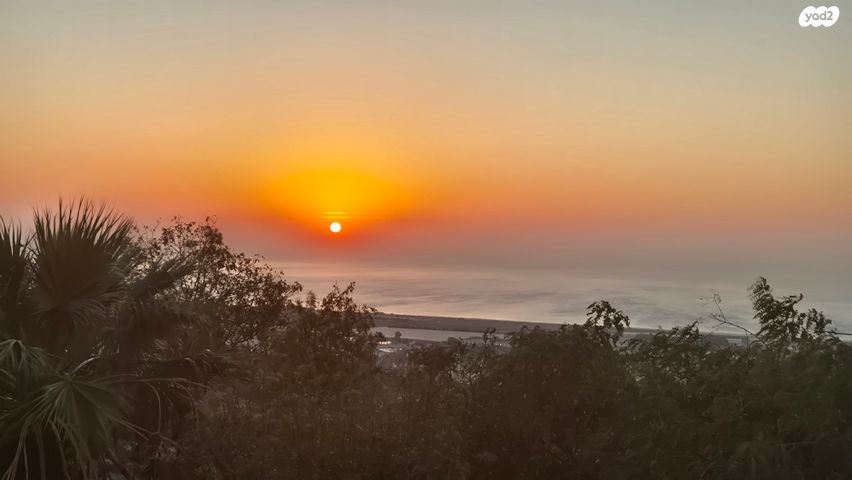 אלברט שווייצר 37