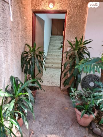 הרב הרצוג 26