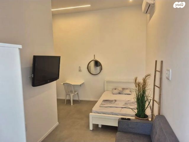 אביגיל הכרמלית 1