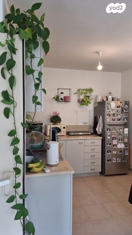 דירה, שונית 56, בית חרות, בית חרות