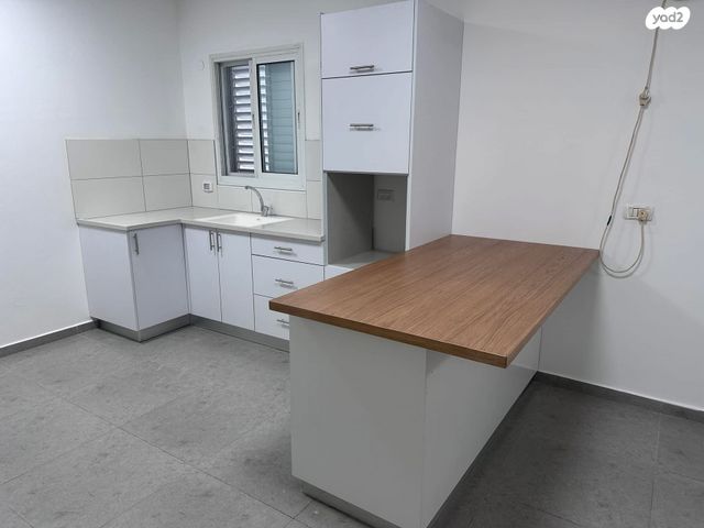 דירה, אלזיתון 1, דאלית אל כרמל, דאלית אל כרמל