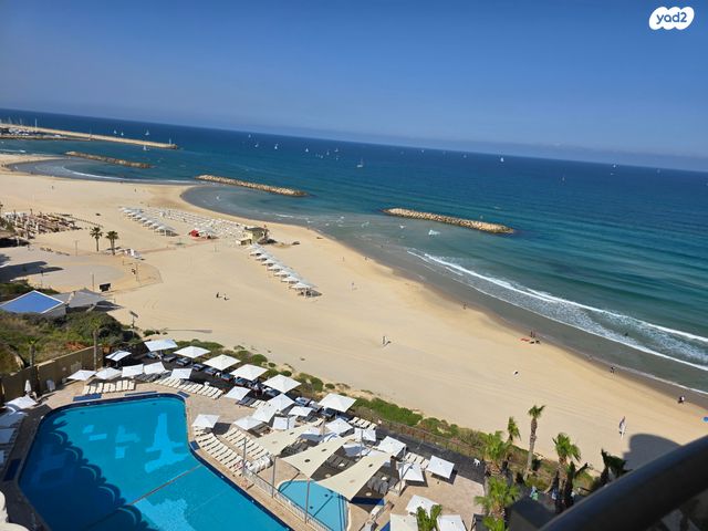 אלי לנדאו 60