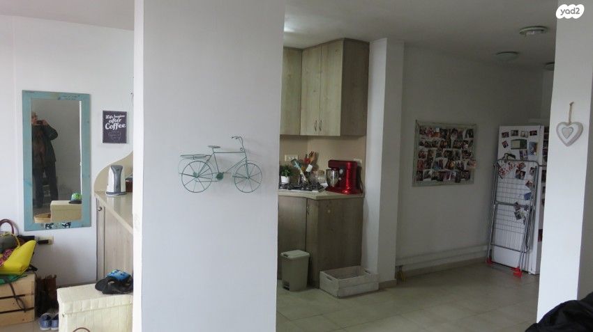 מוריץ דניאל 50