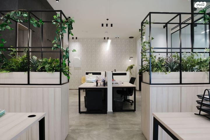 משרדים, פרופ' אברהם פצ'ורניק 7, שאר העיר, נס ציונה