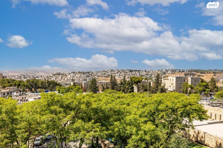 ארמון הנציב, תלפיות מזרח