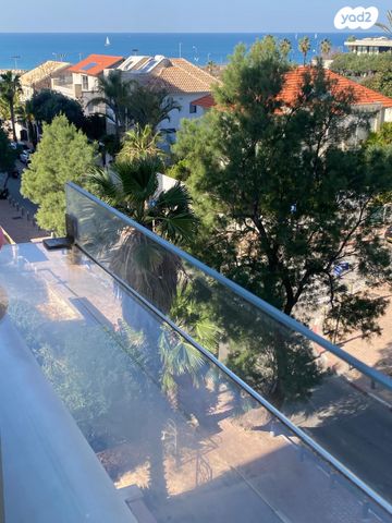 מדינת היהודים 