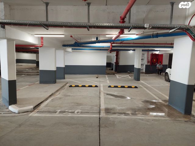 דירה, אשקלון