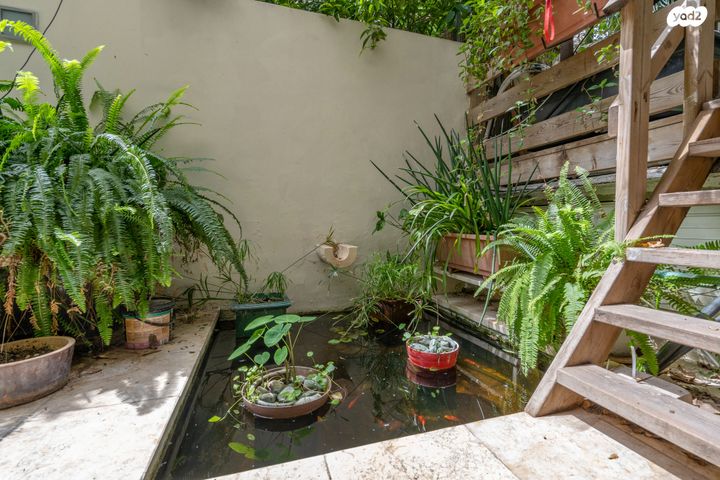 דירת גן, שלמה המלך 44, הצפון הישן - דרום, תל אביב יפו