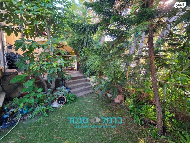 דירת גן, רמת בגין, חיפה