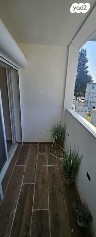 דירה, החלוץ, טרומפלדור, נהריה