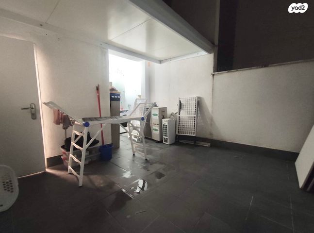 דירה, כוכב הצפון, אשקלון