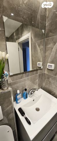 דירה, החלוץ, טרומפלדור, נהריה