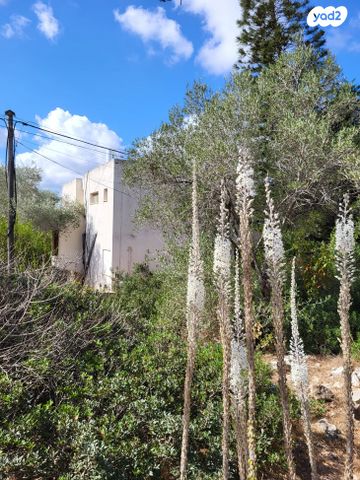 בית פרטי/ קוטג', נווה הברון, זכרון יעקב