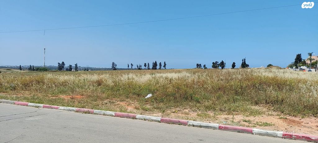 מגרשים, יוסף ספיר 1, ברנדייס, חדרה