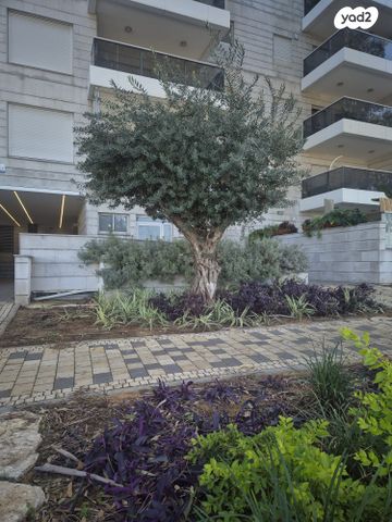 דירה, הפלמ"ח, קדימה צורן