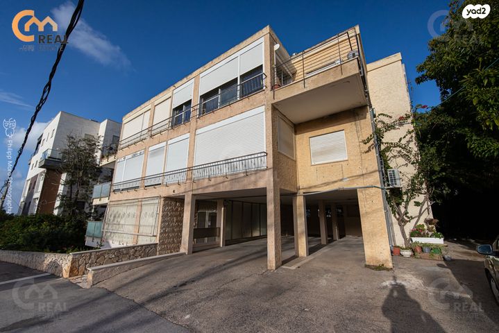 דירה, אלכסנדר ינאי, כרמליה, חיפה