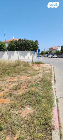 מגרשים, יוסף ספיר 1, ברנדייס, חדרה