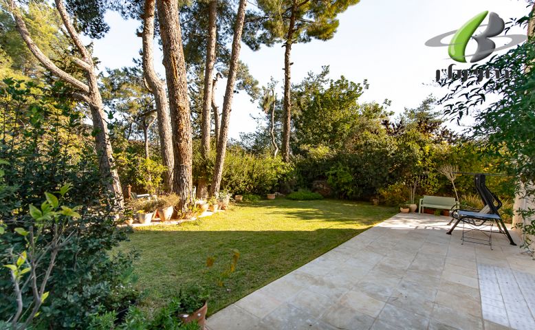 בית פרטי/ קוטג', הוותיקה, צור הדסה