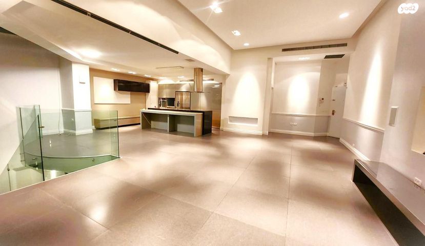 גג/ פנטהאוז, אלכסנדר סשה ארגוב, המשתלה, תל אביב יפו