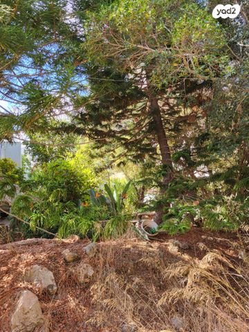 דו משפחתי, נווה הברון, זכרון יעקב