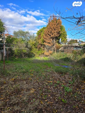 דו משפחתי, הארז, ברנדייס, חדרה