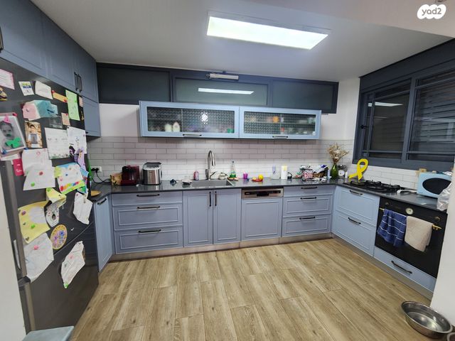 דירת גן, פטל, רוממה, חיפה