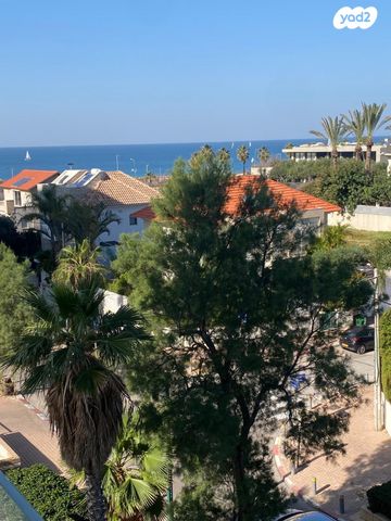 דירה, מדינת היהודים, הרצליה פיתוח, הרצליה