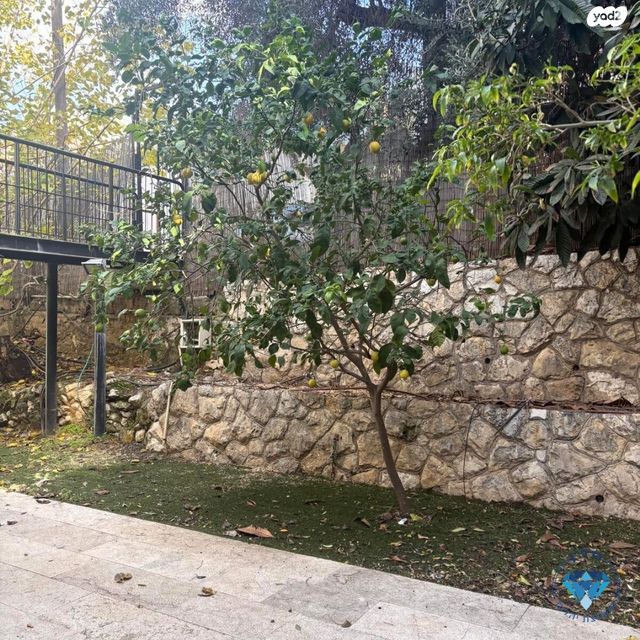 דירה, וייצמן, מרכז מזרחי, נס ציונה