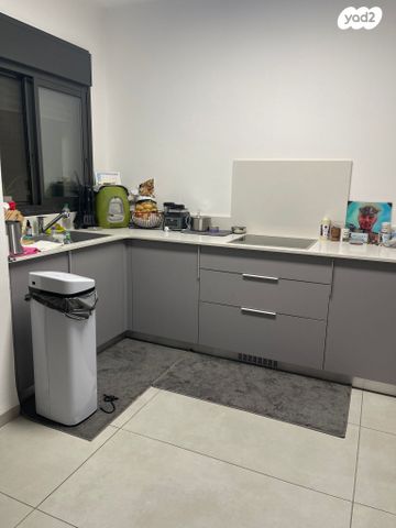 מורדי הגטאות 