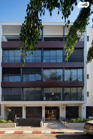 גליצנשטיין 8