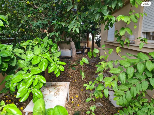 בית פרטי/ קוטג', פרדס חנה כרכור