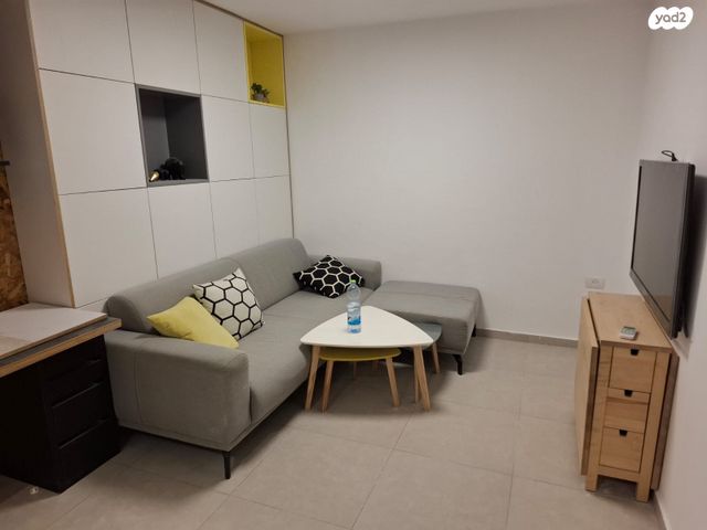 אריה דיסנצ'יק 