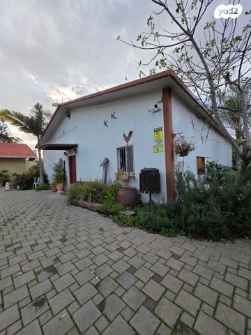 קליניקות, מיכאל, כפר ביאליק