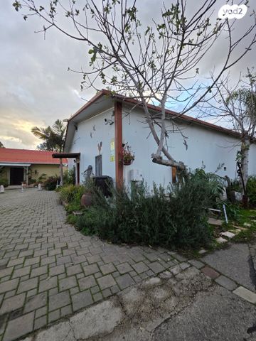 קליניקות, מיכאל, כפר ביאליק