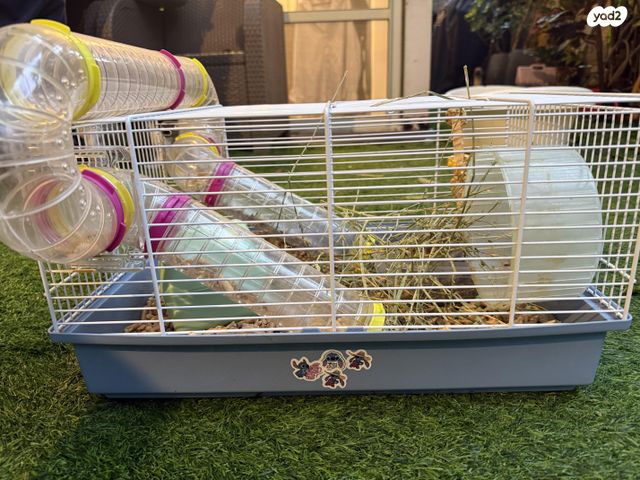 תמונת מודעה - חיות מחמד