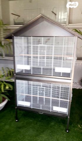 תמונת מודעה - חיות מחמד