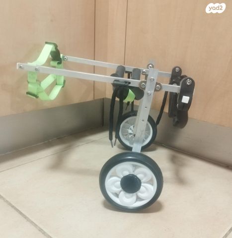 תמונת מודעה - חיות מחמד