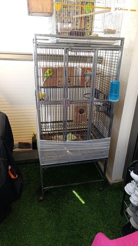 תמונת מודעה - חיות מחמד