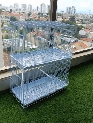 תמונת מודעה - חיות מחמד