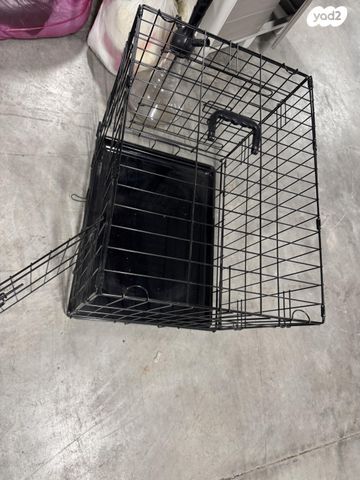 תמונת מודעה - חיות מחמד