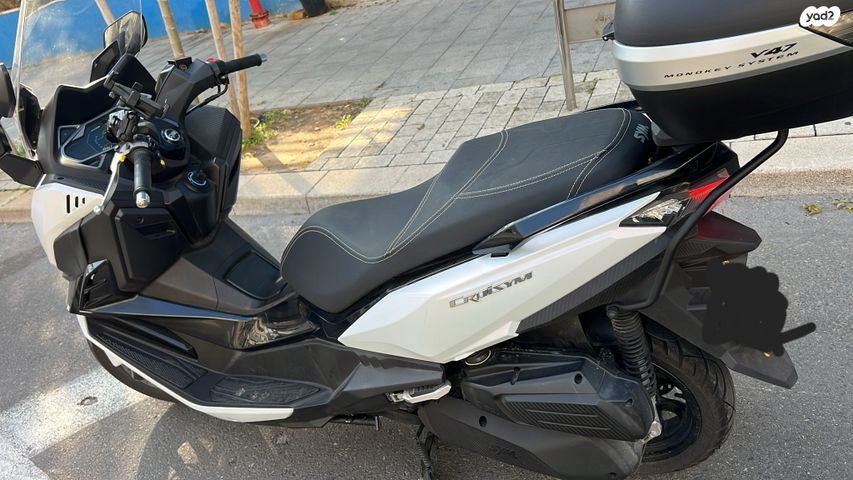 סאן יאנג קרוזים 300 אלפא