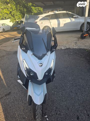 סאן יאנג קרוזים 300 אלפא