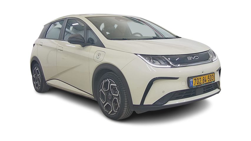 בי.ווי.די דולפין