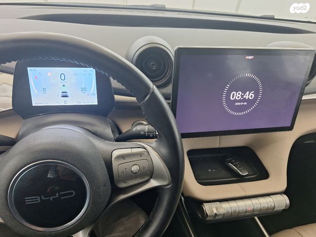 בי.ווי.די דולפין