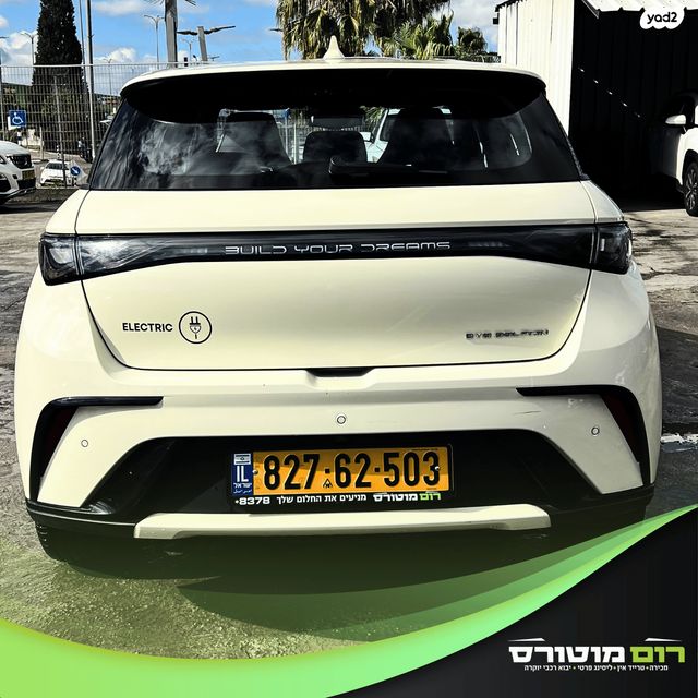 בי.ווי.די דולפין