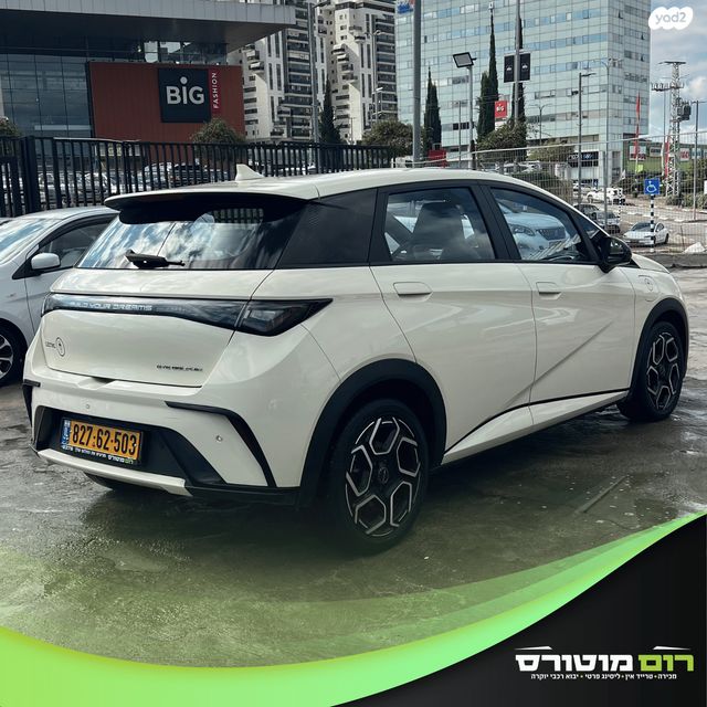 בי.ווי.די דולפין