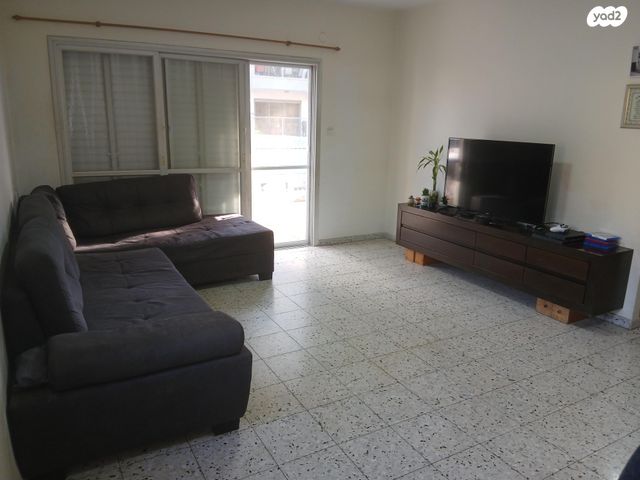 זאב ברנדה 37