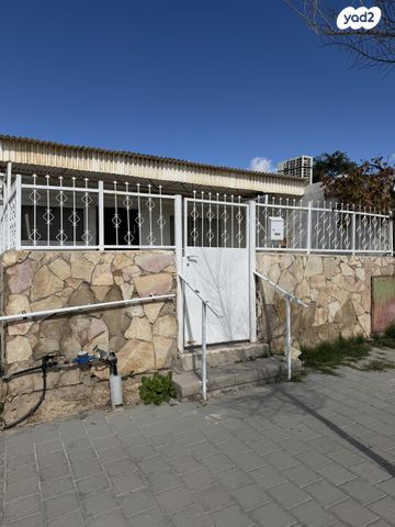 צביה המלכה 4